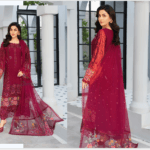 Fancy Suit With Chikankari Work