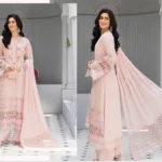 Fancy Suit With Chikankari Work