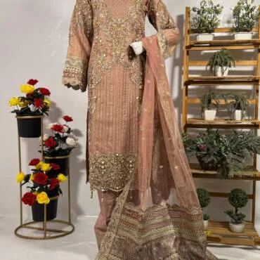 Fancy Regal Embellished Dress