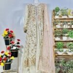 long frock with an organza dupatta