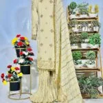 Embroidered Chiffon Ensemble - Image 2