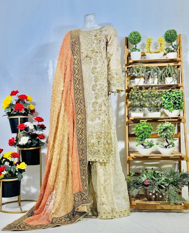 Embroidered Luxe Chiffon Suit