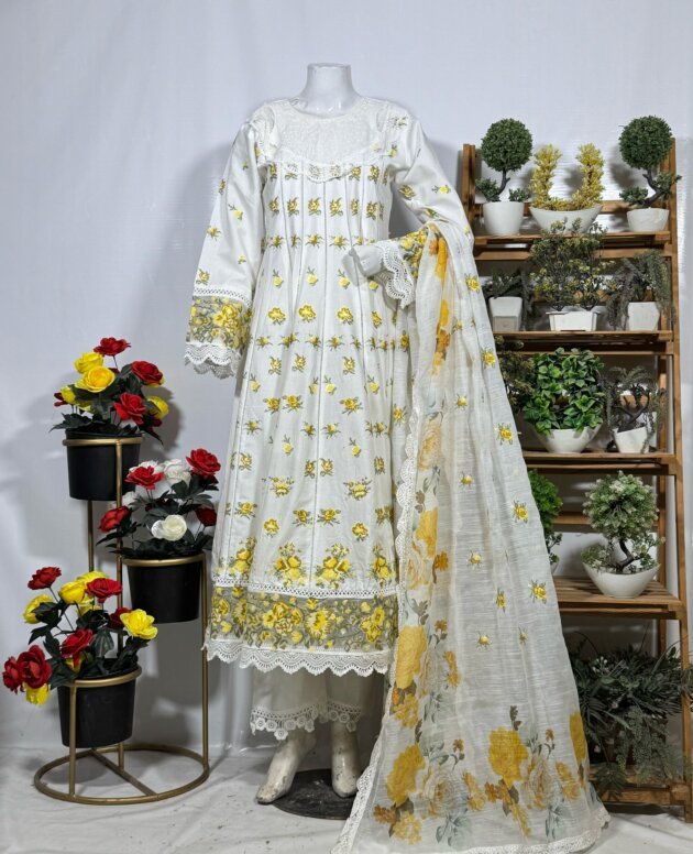 Fancy Embroidered Frock
